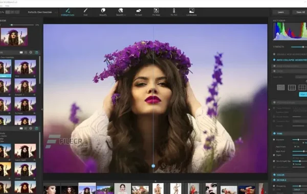 Perfectly Clear WorkBench 